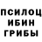 Галлюциногенные грибы ЛСД railNaaz