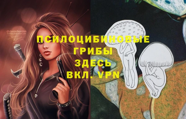 скорость Касимов