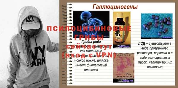 скорость Касимов